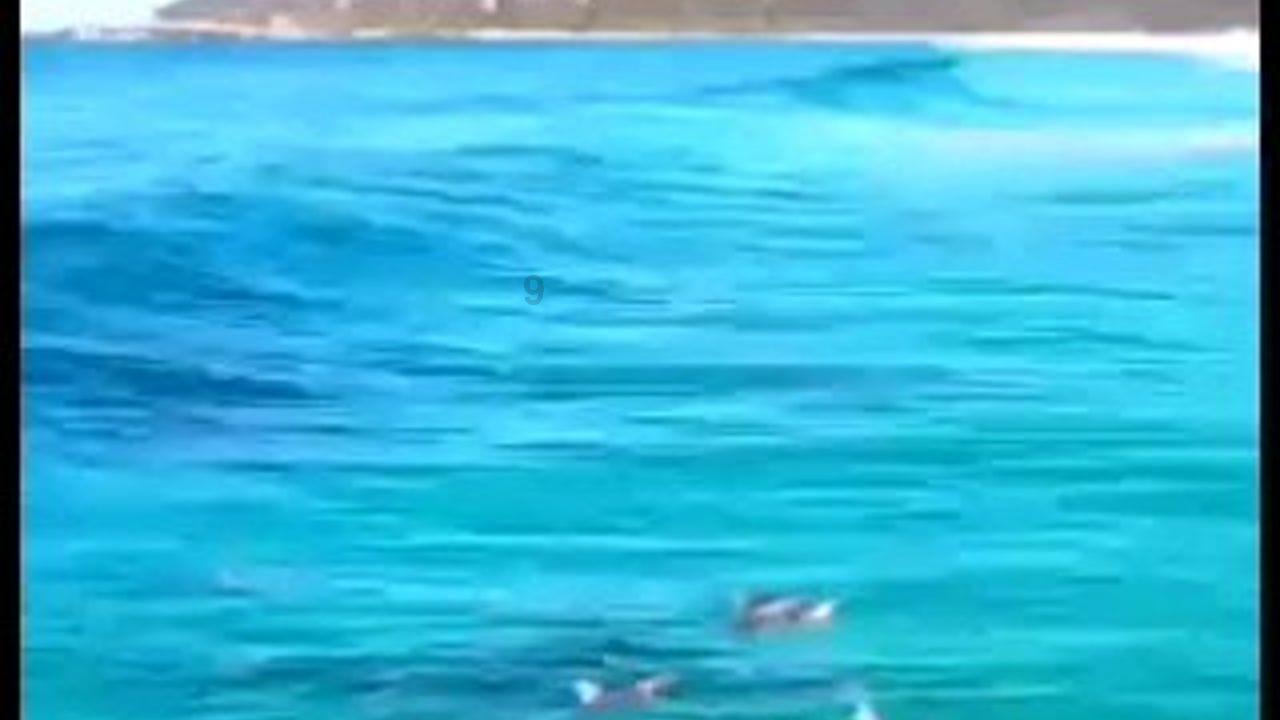 战争怒吼