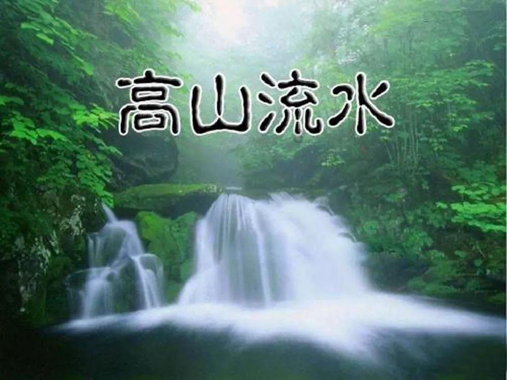 五篇评论,深度解码山东发展